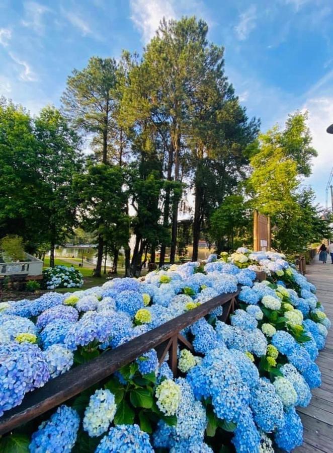 Hotel Pousada Do Conde Канела Экстерьер фото